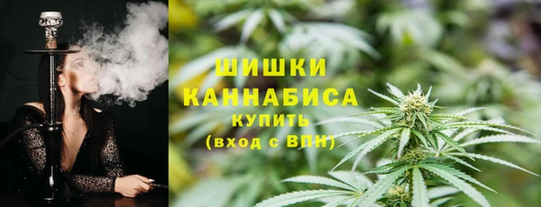 шишки Баксан