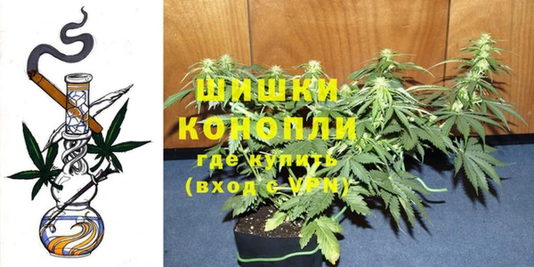 spice Аркадак