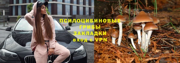 spice Аркадак