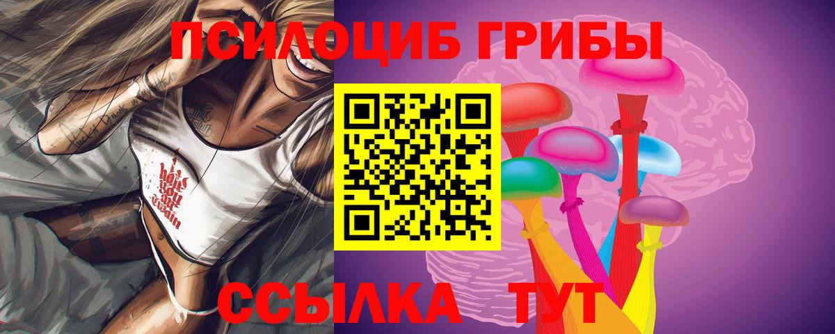 Псилоцибиновые грибы Psilocybine cubensis Киреевск
